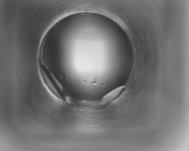 X0000071381536200607071828