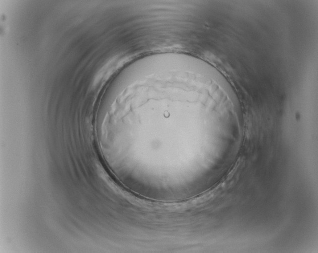 X0000071380002200607142122