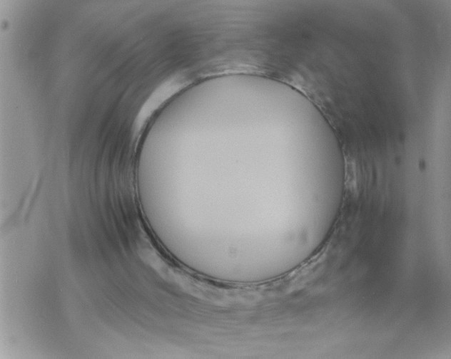 X0000071380004200607142122