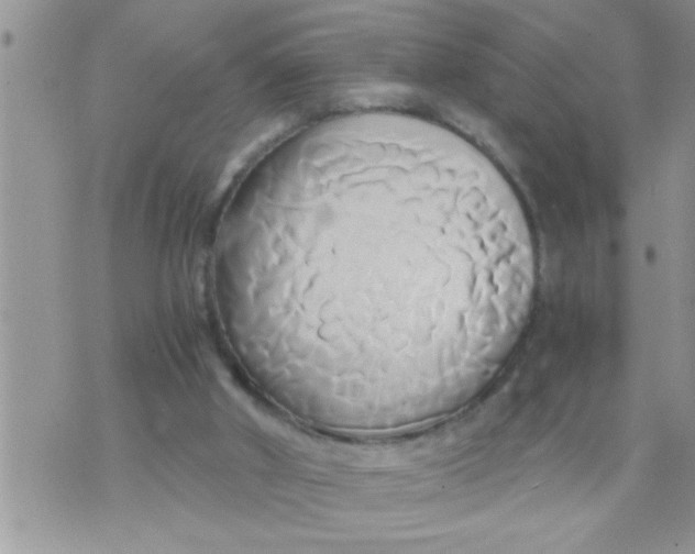 X0000071380010200607142122