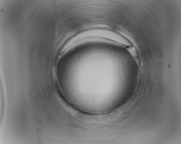 X0000071380013200607142122