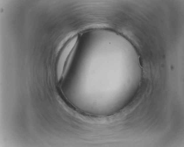 X0000071380015200607142122