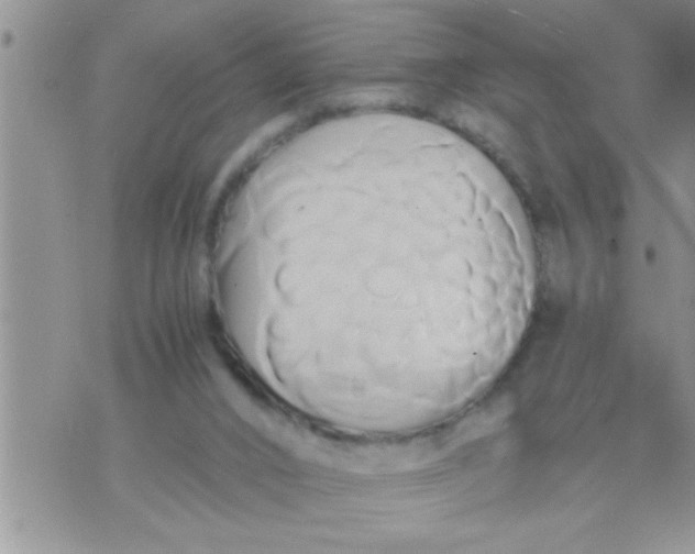 X0000071380016200607142122