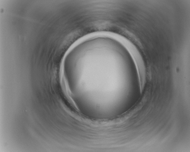 X0000071380018200607142122