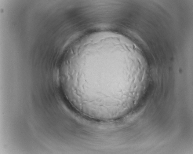 X0000071380024200607142122