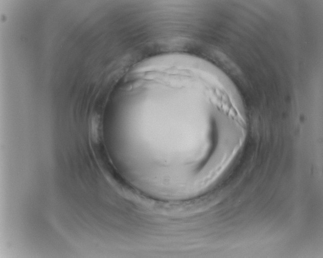 X0000071380026200607142122