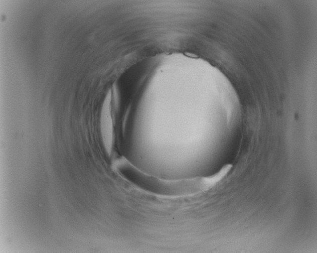 X0000071380029200607142122