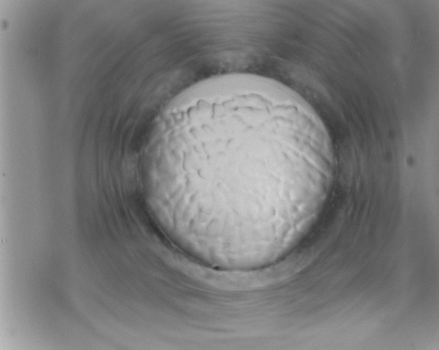 X0000071380034200607142122