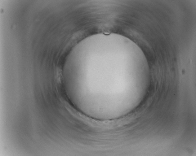 X0000071380038200607142121