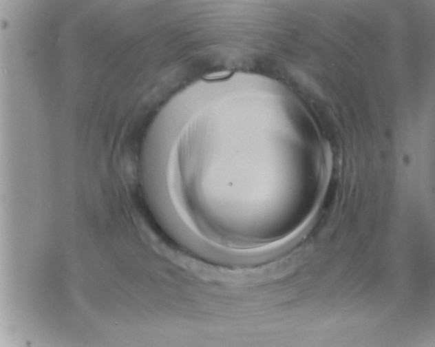 X0000071380039200607142121