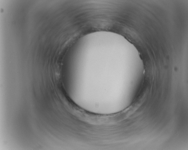 X0000071380040200607142121