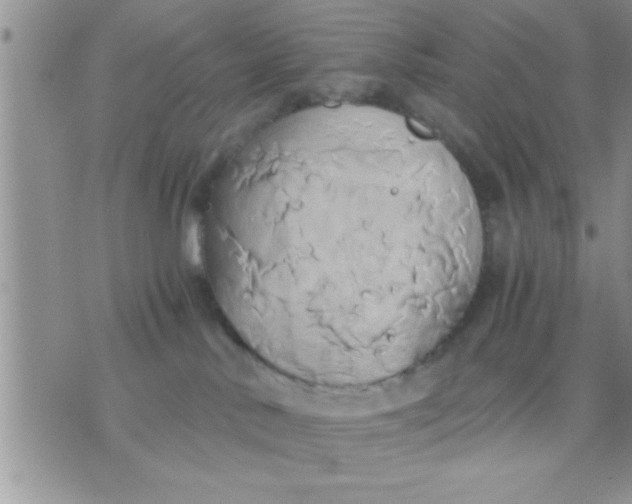 X0000071380042200607142121