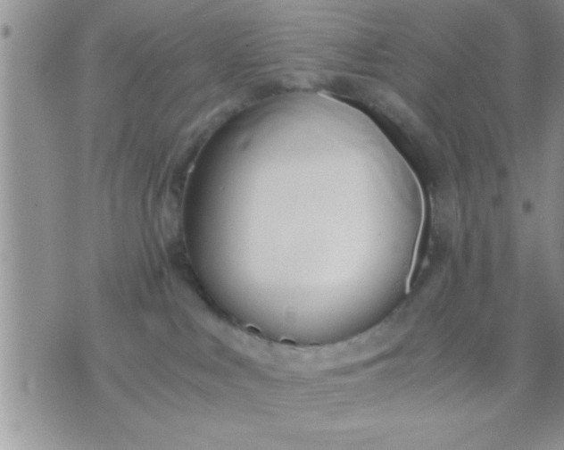 X0000071380043200607142121