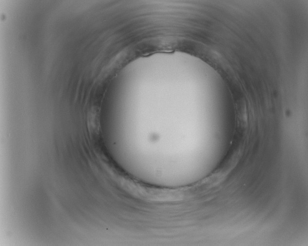 X0000071380044200607142121