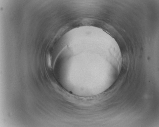 X0000071380046200607142121