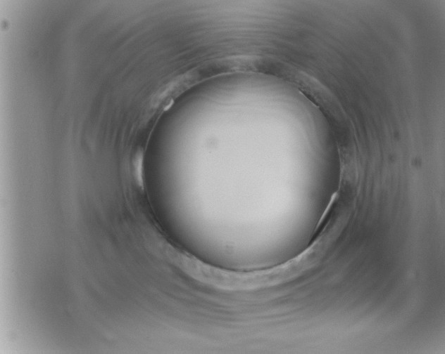 X0000071380047200607142121