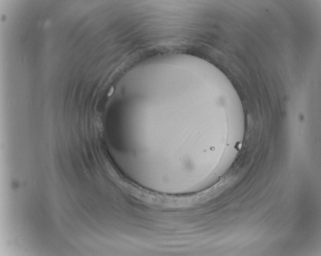 X0000071380048200607142121