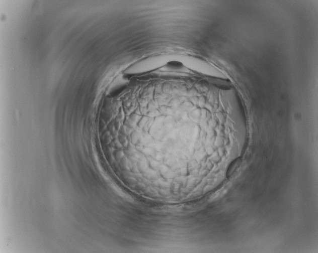 X0000071380049200607142121