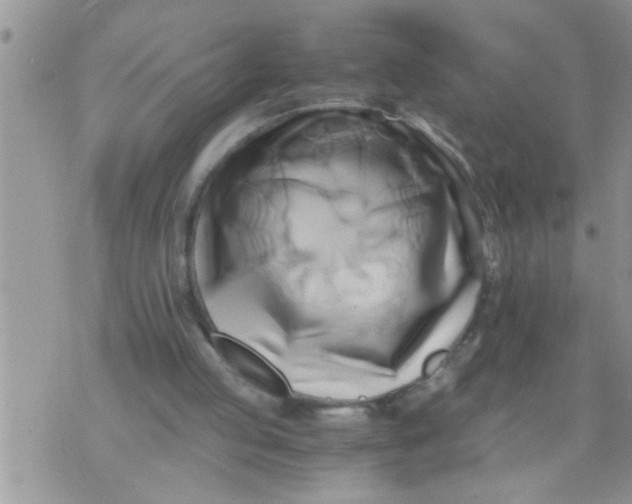 X0000071380053200607142121