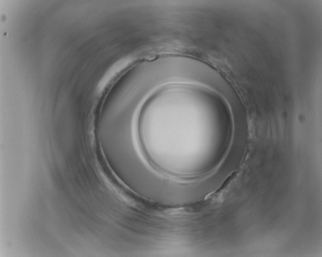 X0000071380054200607142121