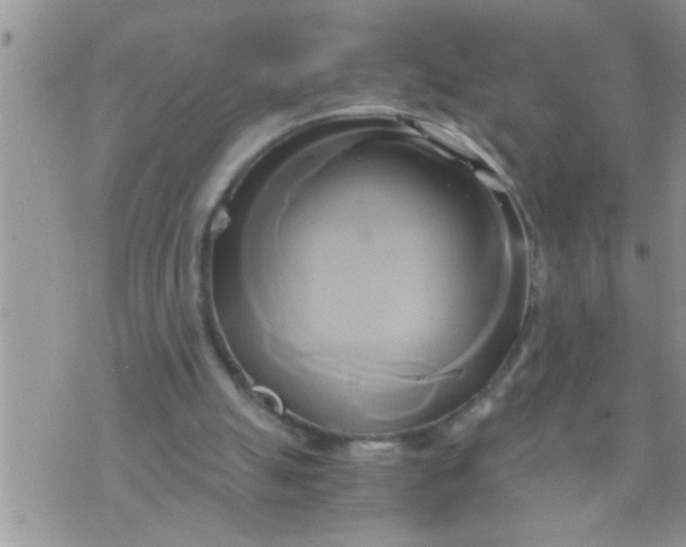 X0000071380055200607142121