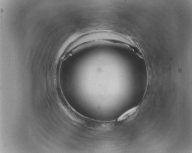 X0000071380056200607142121