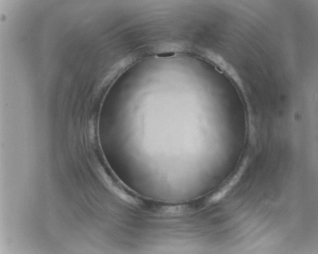 X0000071380057200607142121