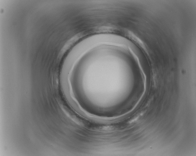 X0000071380059200607142121