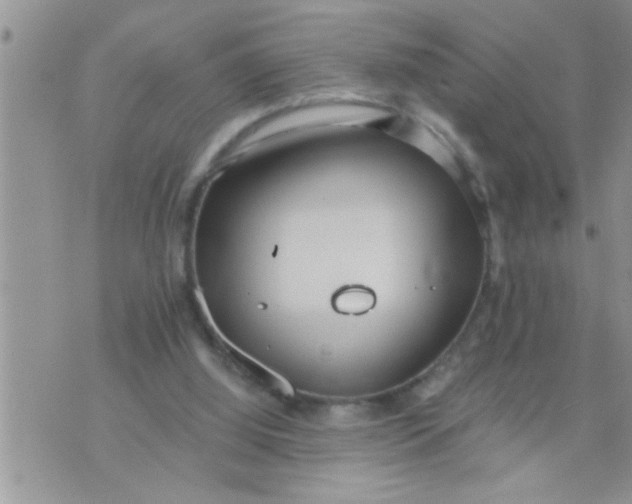 X0000071380060200607142121