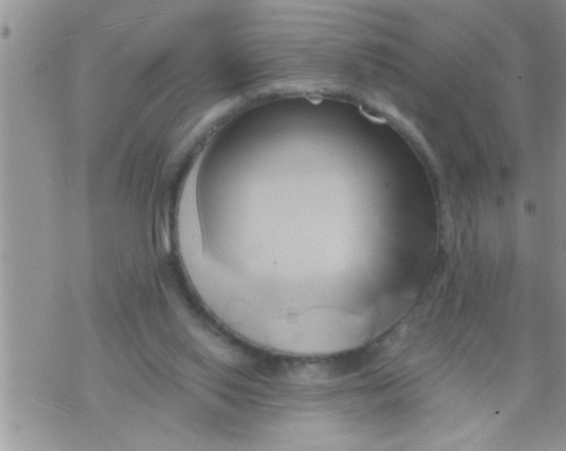 X0000071380062200607142121