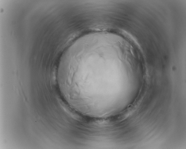 X0000071380065200607142121