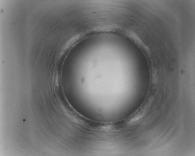 X0000071380068200607142121