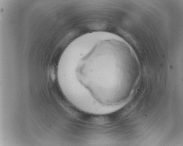 X0000071380069200607142121