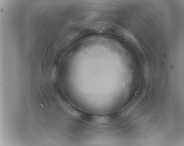 X0000071380073200607142121