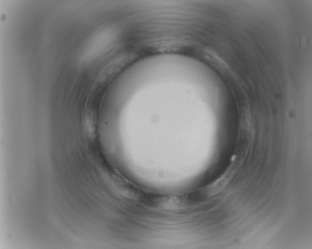 X0000071380074200607142121