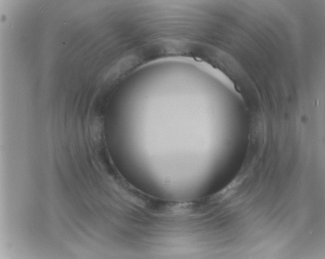 X0000071380078200607142121