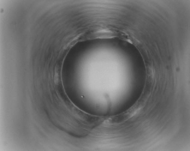 X0000071380080200607142121