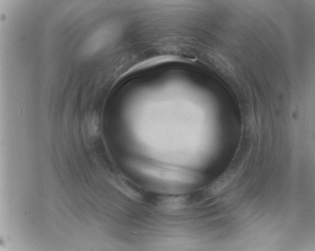 X0000071380081200607142121