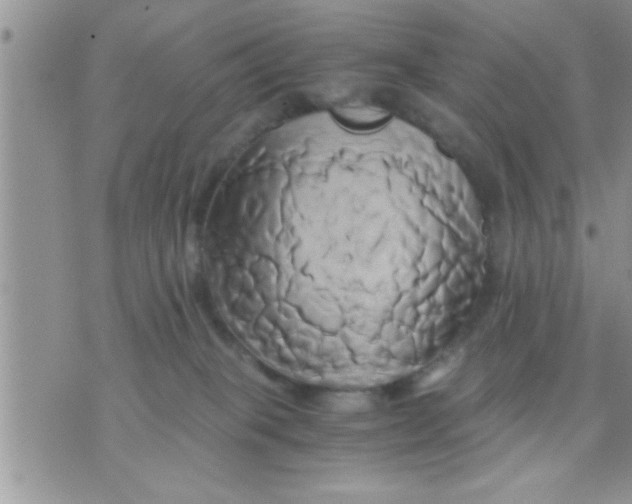 X0000071380085200607142121