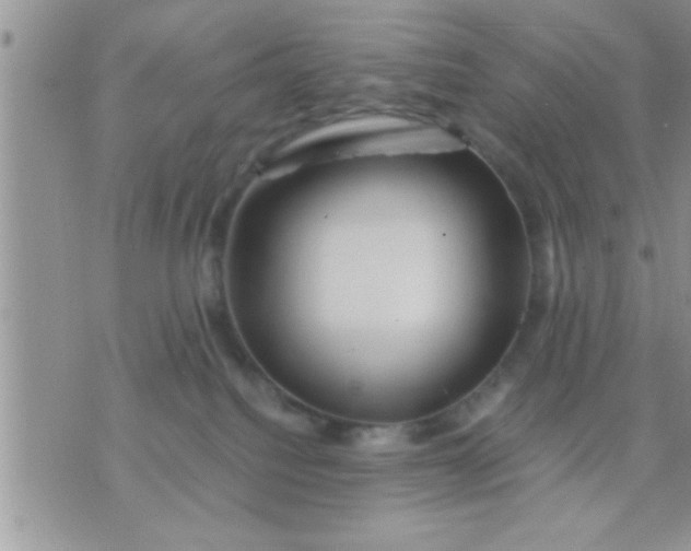 X0000071380088200607142121