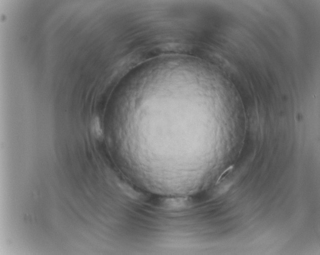 X0000071380089200607142121