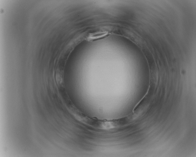 X0000071380091200607142121