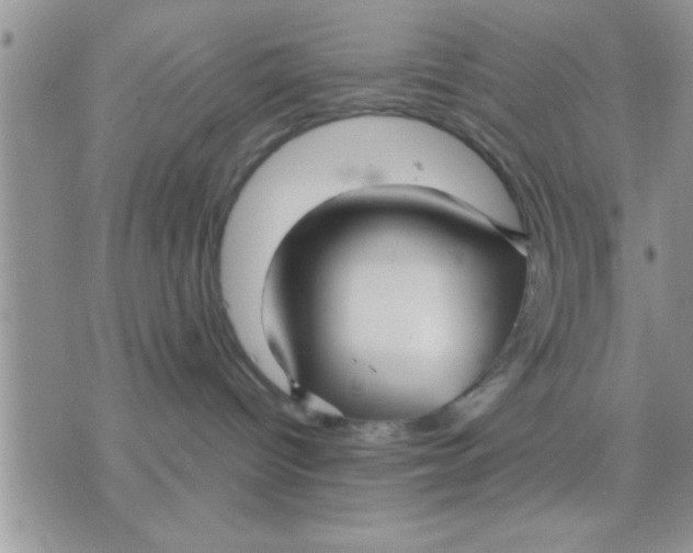 X0000071380096200607142121