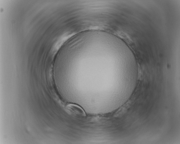 X0000071380098200607142120