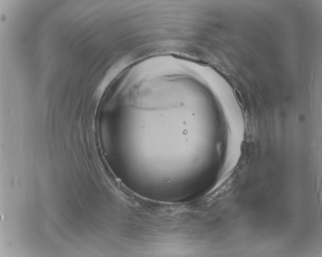 X0000071380099200607142120