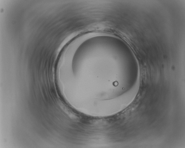 X0000071380100200607142120