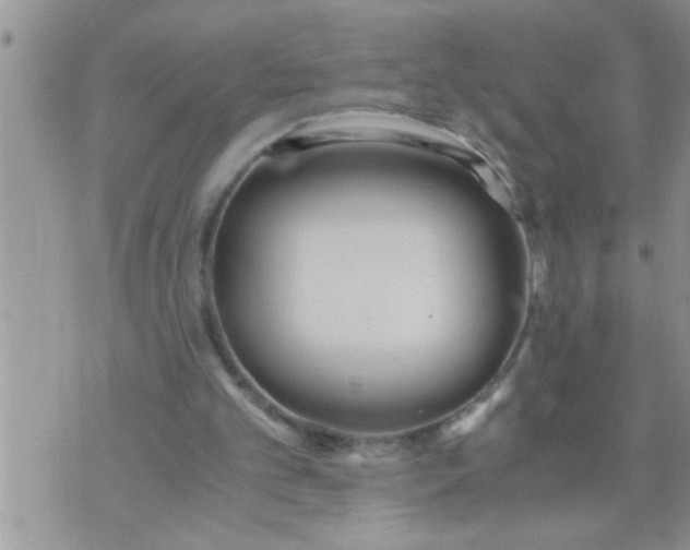 X0000071380101200607142120