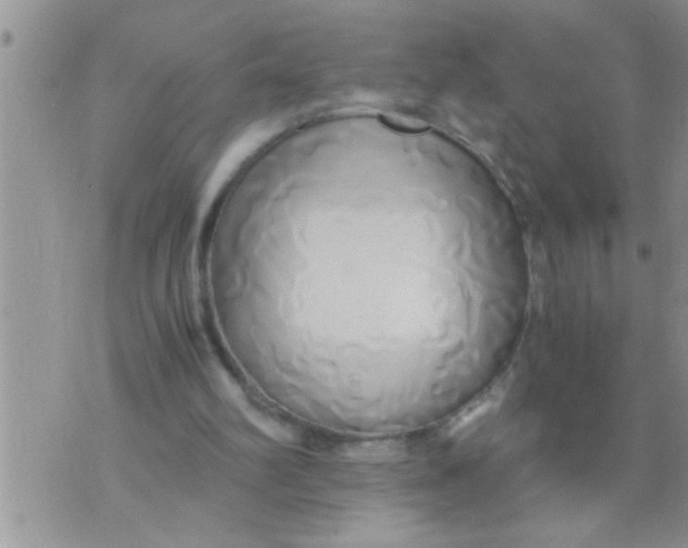 X0000071380102200607142120