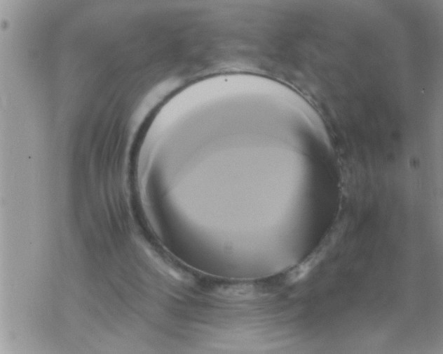 X0000071380104200607142120