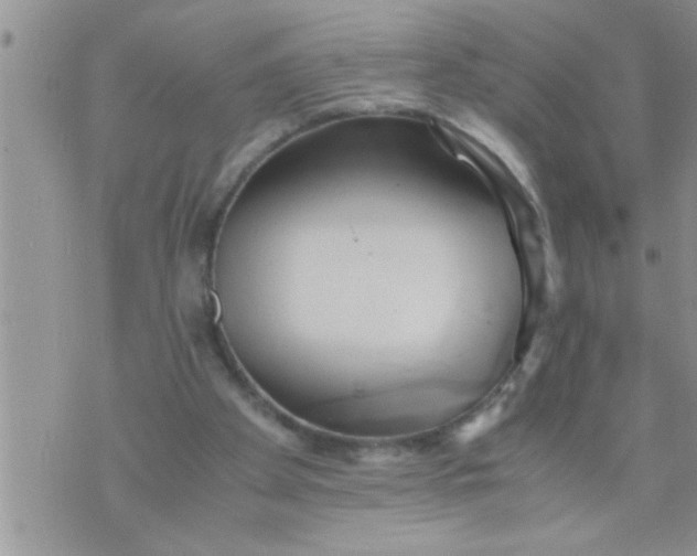 X0000071380105200607142120